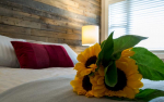 Sunflowers on bed with red pillow