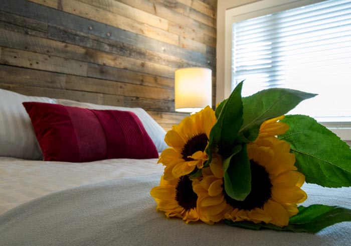 Sunflowers on bed with red pillow