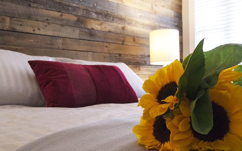 Sunflowers on Bed with red pillow